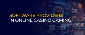 Software Providers in Online Casino Gaming