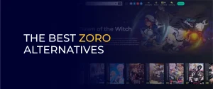 The Best Zoro Alternatives