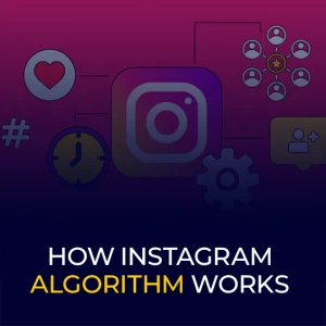 how instagram algorithm works